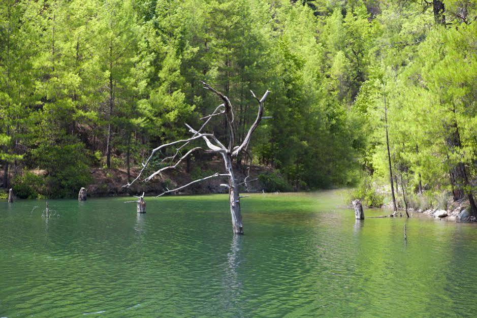 Sakli Gol Evleri Hotel Karacaören Kültér fotó